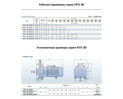 Насосный агрегат моноблочный фланцевый PURITY PSTC 80-125/55