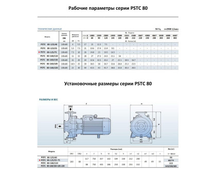 Насосный агрегат моноблочный фланцевый PURITY PSTC 80-125/75