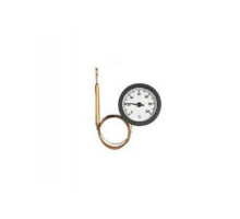 Термометр дистанционный WATTS TС50/100 0+120*С с капилляром 1000 мм (10005469)